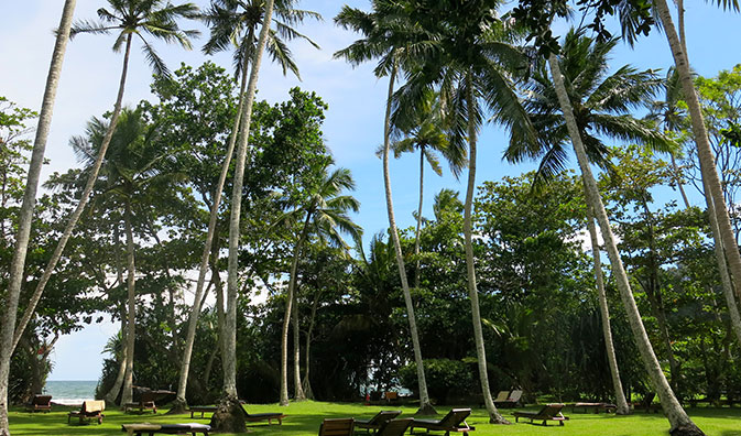 Ayurveda ferien im Surya Lanka Ayurveda Resort