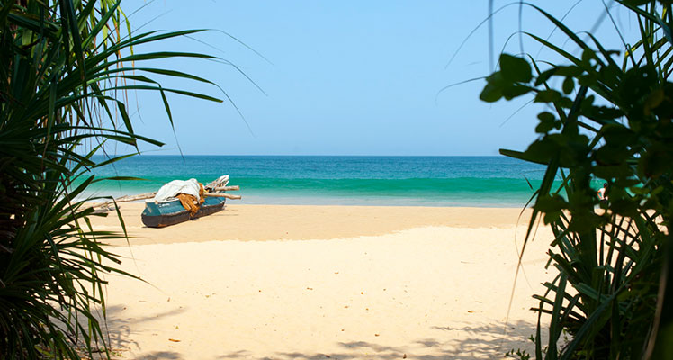 Der perfekte Ort für ein Ayurveda-Resort in Sri Lanka